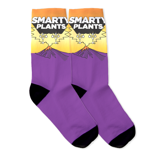 SP Purple Socks